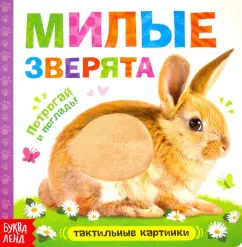 Книга-пищалка «Что у цыплёнка на обед?»